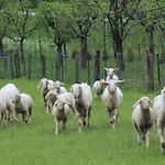 Tatjana ボヴェツ