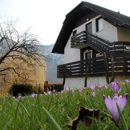 Tatjana * Bovec