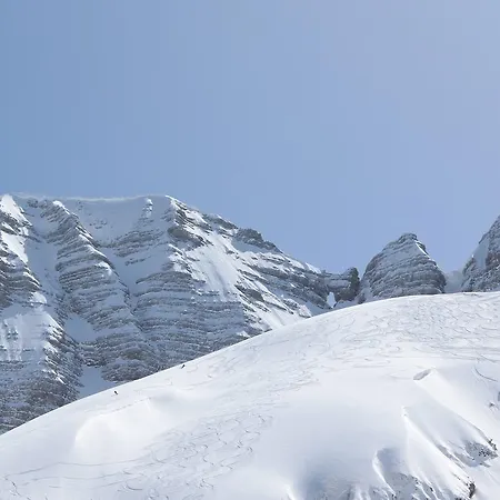 Tatjana * بوويتش