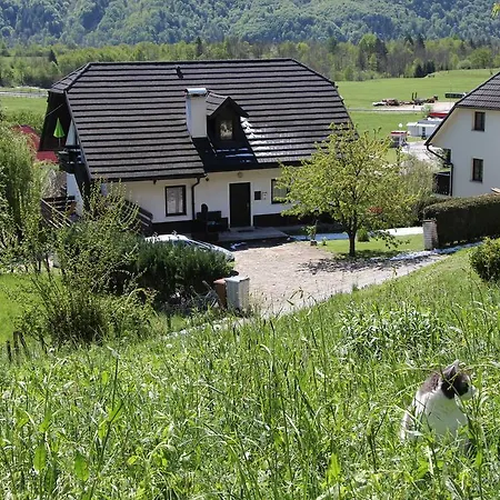 Apartment Tatjana Bovec