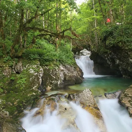 Apartmán Tatjana Bovec