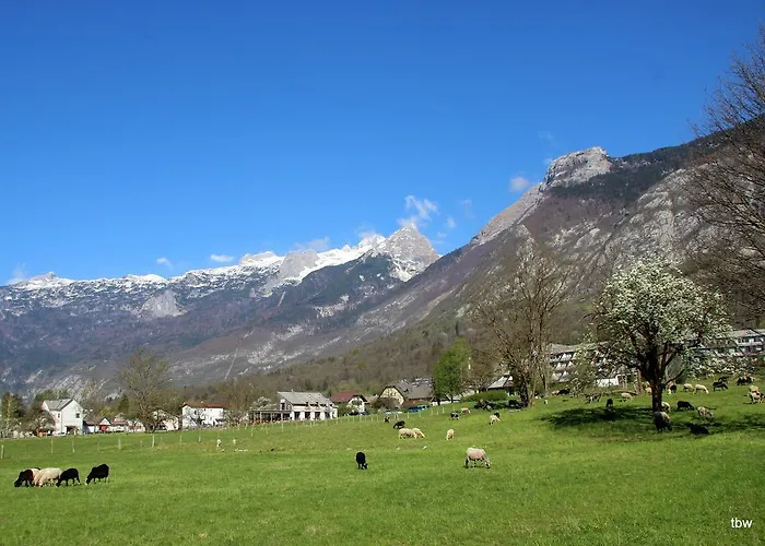 Appartement Tatjana Bovec